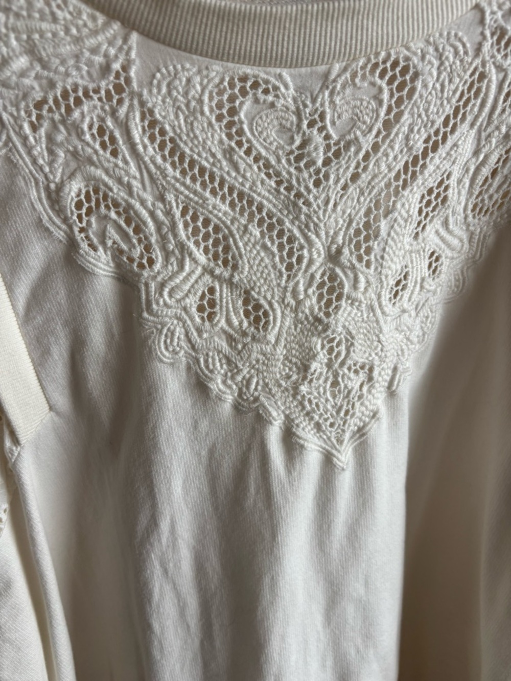 Pilcro Anthropologie Eyelet Lace Long-Sleeve Top - Picture 6 of 7